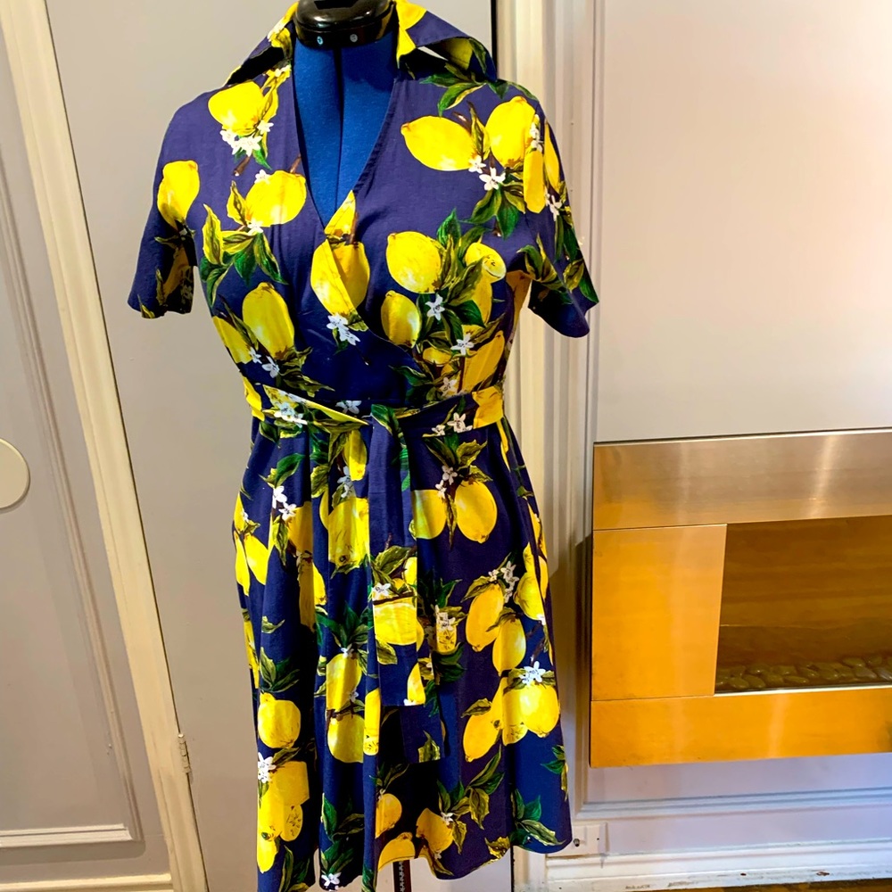 Lemon dress w/ navy background, belted w/ collar. So sweet! Size 3XL.